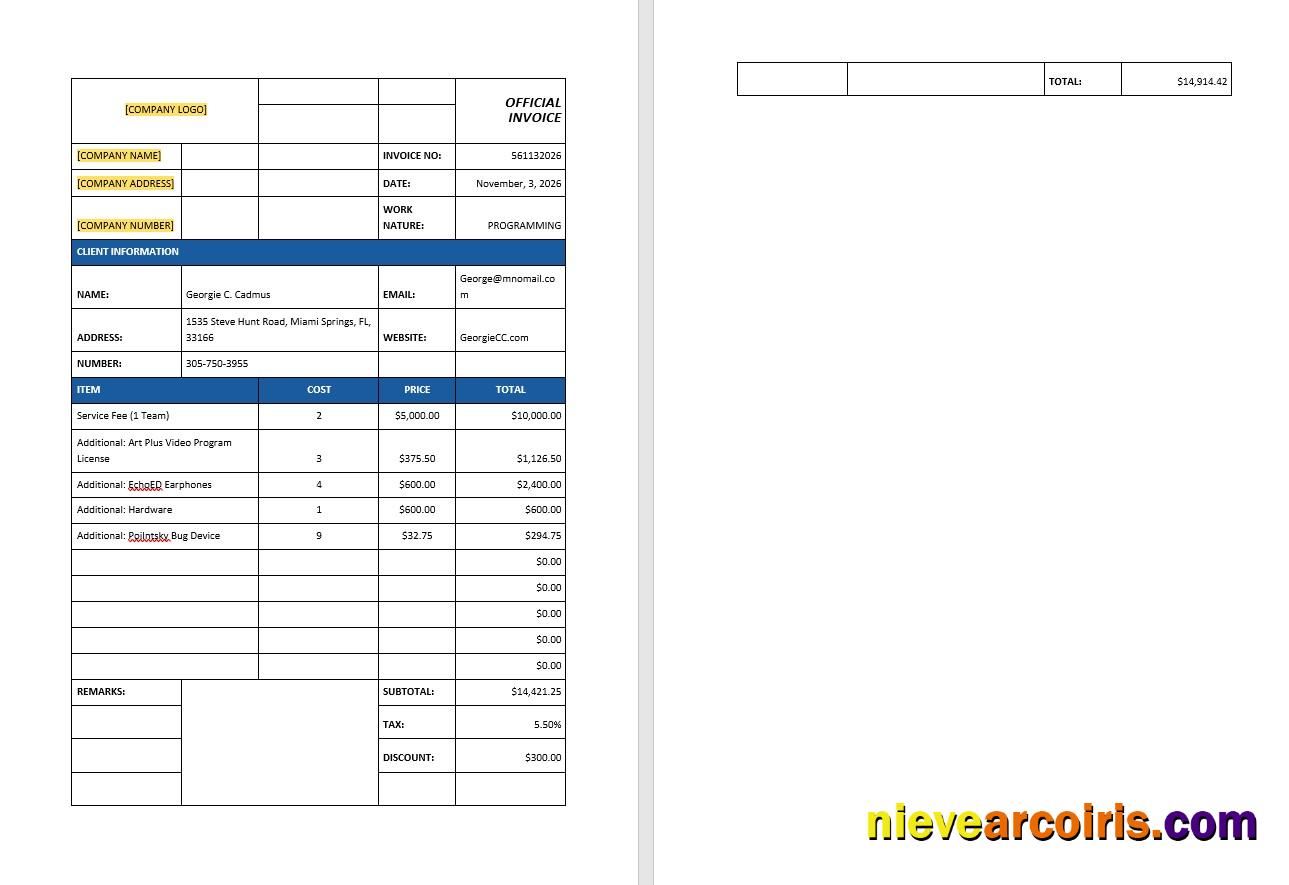 IT Support Invoice